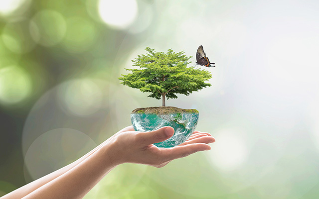 Person hält kleine halbe Weltkugel mit daraus wachsendem Baum in der Hand Person hält kleine halbe Weltkugel mit daraus wachsendem Baum in der Hand