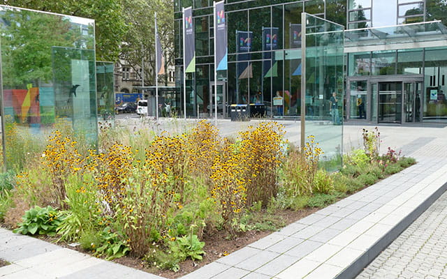 Der Stadtwerkevorplatz wird Grün